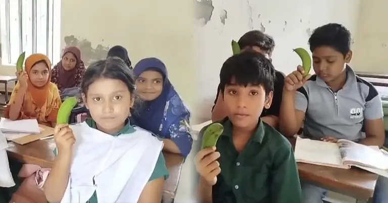 শিক্ষার্থীদের টিফিনে কাঁচা কলা